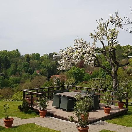 Pensiunea Toscana Brasov Bagian luar foto